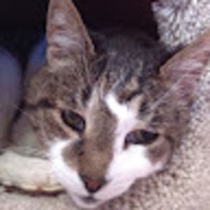 Meet your Posher, Jess